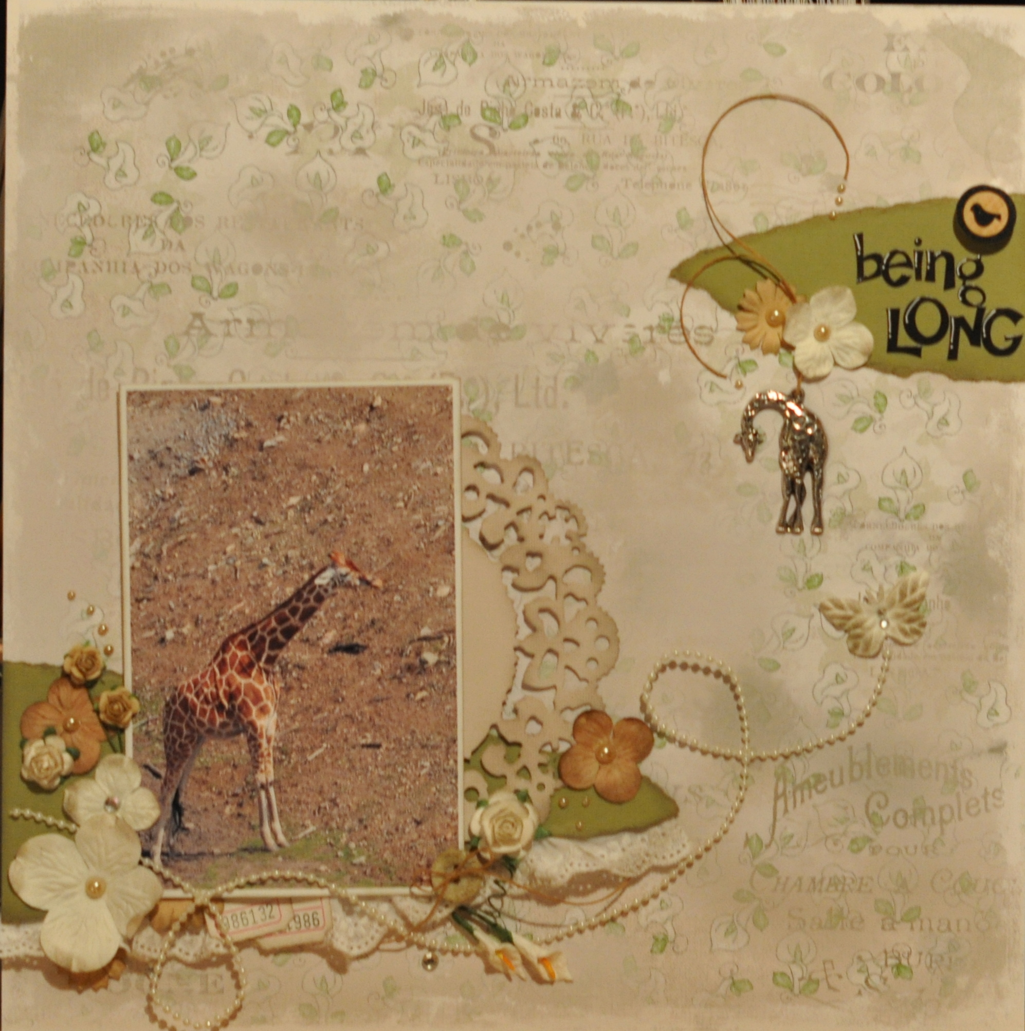 Being long – Album layout med giraffer