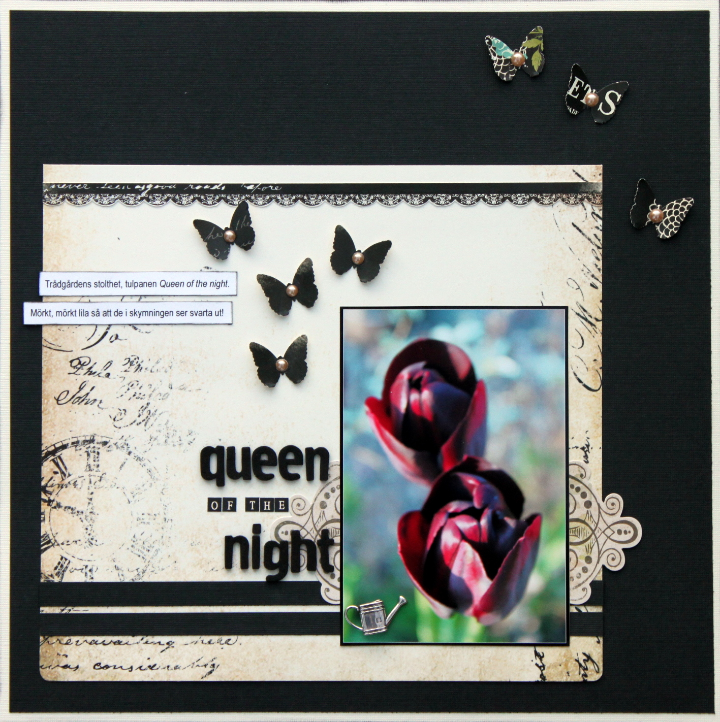 Mina svarta tulpaner