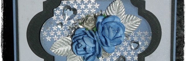 Erik 16 år, kort i blått-grått-svart