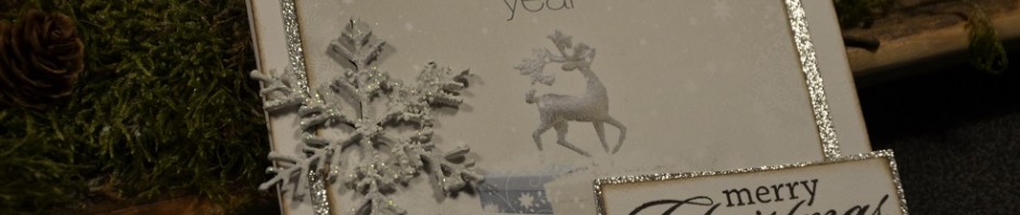 Kort till presentkort – BoBunny