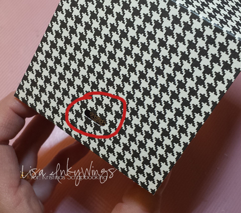 birdhouse-49h-inkywings-2016