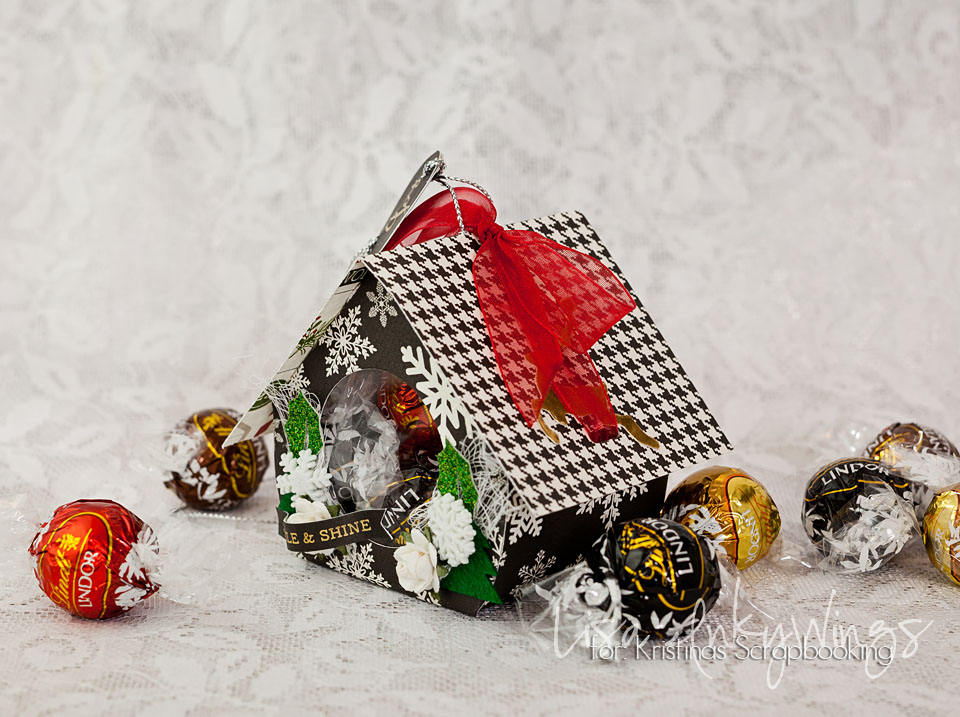 birdhouse-49o-inkywings-2016