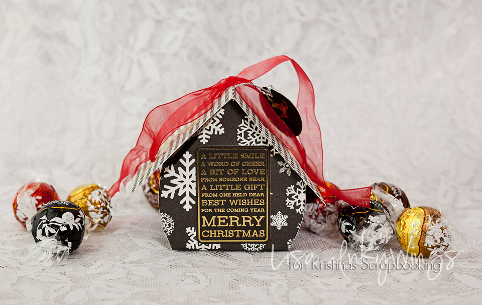 birdhouse-49q-inkywings-2016