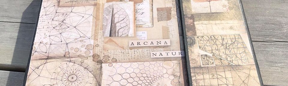 Stamperia minialbum – Forest Collection