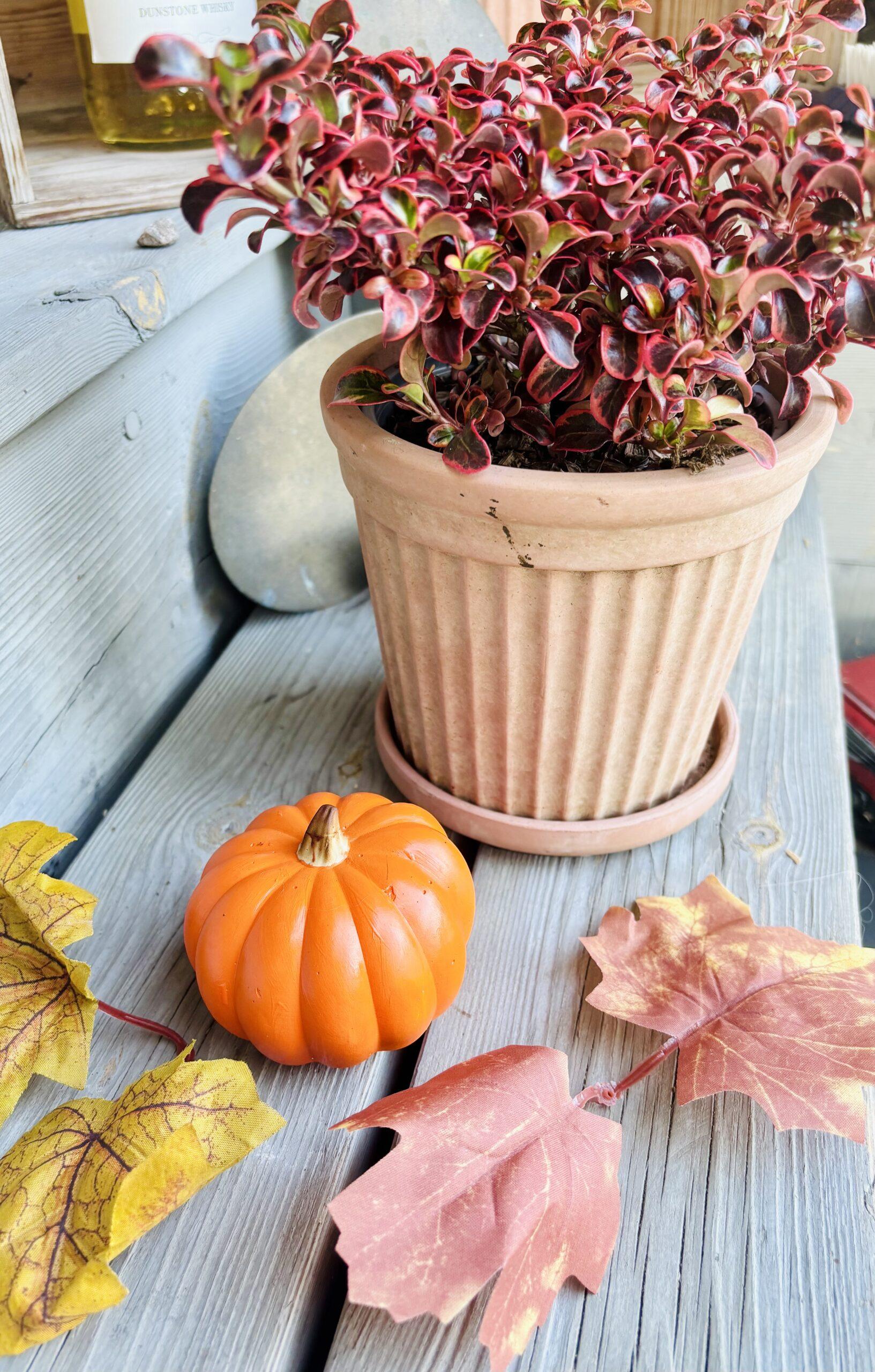 DIY pumpa i gips